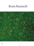 Brain Research, September 2010 cover